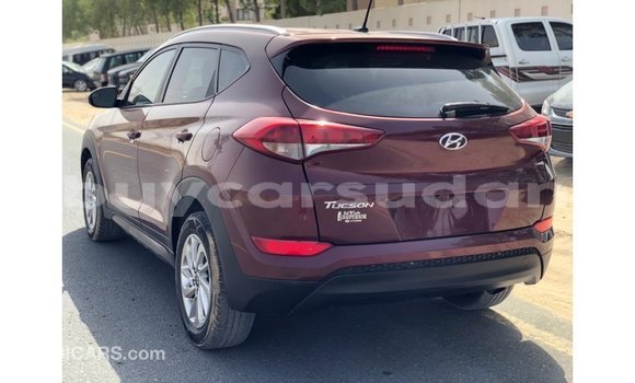 Buy Import Hyundai Tucson Red Car in Import - Dubai in Al Jazirah State Buy Import Hyundai Tucson Red Car in Import - Dubai in Al Jazirah State