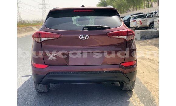 Buy Import Hyundai Tucson Red Car in Import - Dubai in Al Jazirah State Buy Import Hyundai Tucson Red Car in Import - Dubai in Al Jazirah State