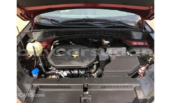 Buy Import Hyundai Tucson Red Car in Import - Dubai in Al Jazirah State Buy Import Hyundai Tucson Red Car in Import - Dubai in Al Jazirah State