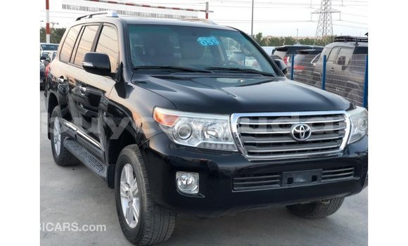 Buy Import Toyota Land Cruiser Black Car in Import - Dubai in Al Jazirah State Buy Import Toyota Land Cruiser Black Car in Import - Dubai in Al Jazirah State