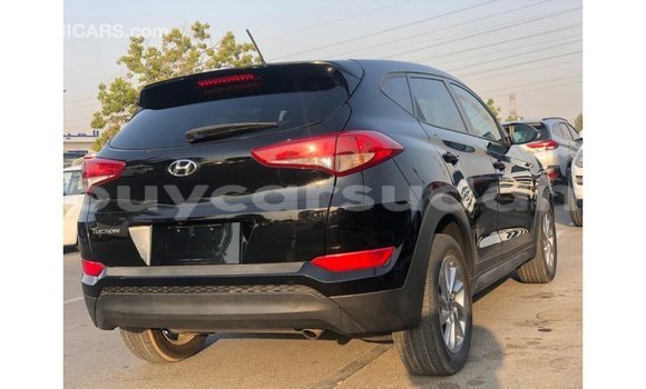 Buy Import Hyundai Tucson Black Car in Import - Dubai in Al Jazirah State Buy Import Hyundai Tucson Black Car in Import - Dubai in Al Jazirah State