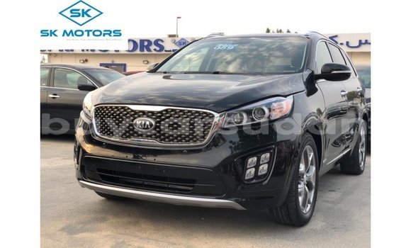 Buy Import Kia Sorento Black Car in Import - Dubai in Al Jazirah State Buy Import Kia Sorento Black Car in Import - Dubai in Al Jazirah State