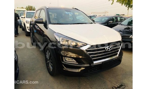 Buy Import Hyundai Tucson Brown Car in Import - Dubai in Al Jazirah State Buy Import Hyundai Tucson Brown Car in Import - Dubai in Al Jazirah State