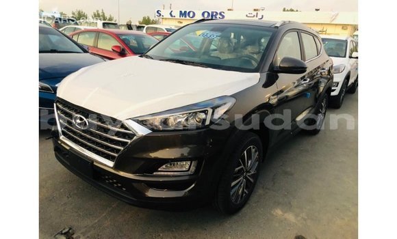 Buy Import Hyundai Tucson Brown Car in Import - Dubai in Al Jazirah State Buy Import Hyundai Tucson Brown Car in Import - Dubai in Al Jazirah State