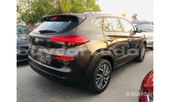 Buy Import Hyundai Tucson Brown Car in Import - Dubai in Al Jazirah State Buy Import Hyundai Tucson Brown Car in Import - Dubai in Al Jazirah State