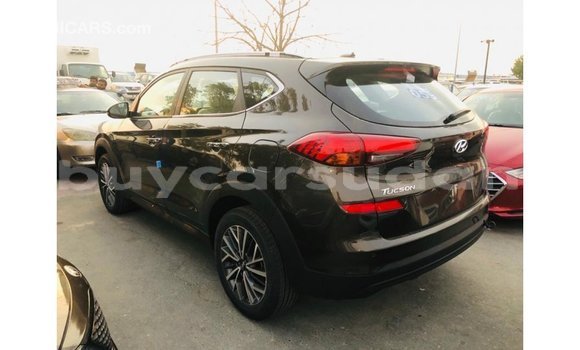 Buy Import Hyundai Tucson Brown Car in Import - Dubai in Al Jazirah State Buy Import Hyundai Tucson Brown Car in Import - Dubai in Al Jazirah State
