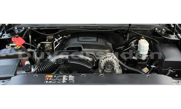 Buy Import Chevrolet Tahoe Black Car in Import - Dubai in Al Jazirah State Buy Import Chevrolet Tahoe Black Car in Import - Dubai in Al Jazirah State