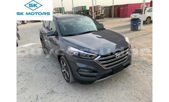 Buy Import Hyundai Tucson Other Car in Import - Dubai in Al Jazirah State Buy Import Hyundai Tucson Other Car in Import - Dubai in Al Jazirah State