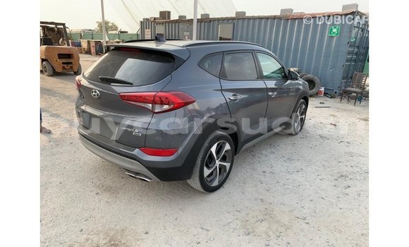 Buy Import Hyundai Tucson Other Car in Import - Dubai in Al Jazirah State Buy Import Hyundai Tucson Other Car in Import - Dubai in Al Jazirah State