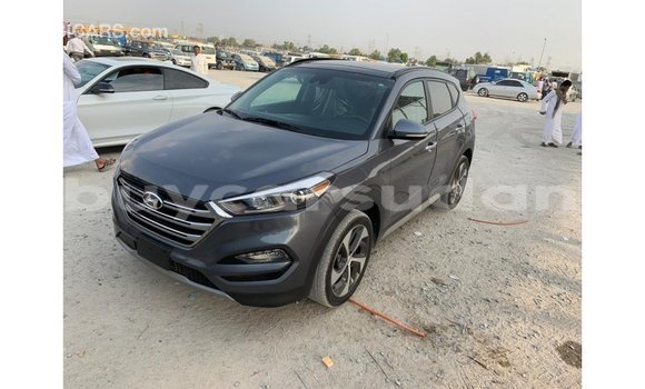 Buy Import Hyundai Tucson Other Car in Import - Dubai in Al Jazirah State Buy Import Hyundai Tucson Other Car in Import - Dubai in Al Jazirah State