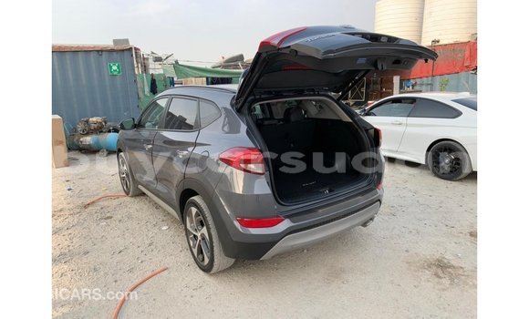 Buy Import Hyundai Tucson Other Car in Import - Dubai in Al Jazirah State Buy Import Hyundai Tucson Other Car in Import - Dubai in Al Jazirah State