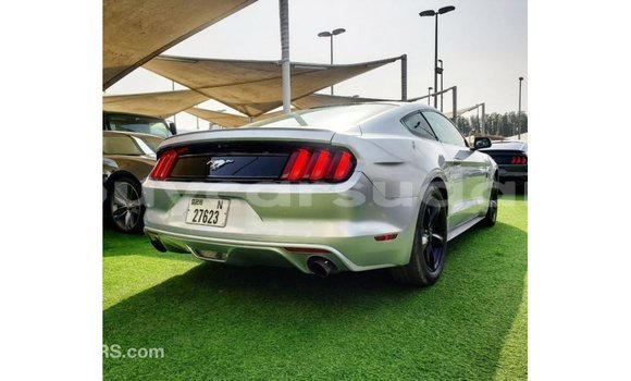 Buy Import Ford Mustang Other Car in Import - Dubai in Al Jazirah State Buy Import Ford Mustang Other Car in Import - Dubai in Al Jazirah State