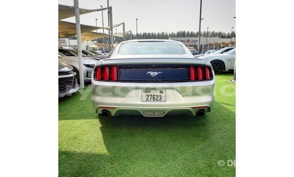 Buy Import Ford Mustang Other Car in Import - Dubai in Al Jazirah State Buy Import Ford Mustang Other Car in Import - Dubai in Al Jazirah State