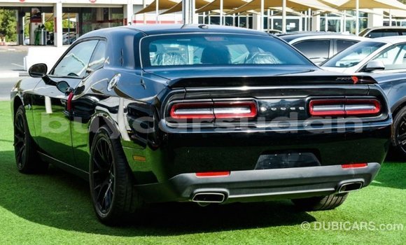 Buy Import Dodge Challenger Black Car in Import - Dubai in Al Jazirah State Buy Import Dodge Challenger Black Car in Import - Dubai in Al Jazirah State