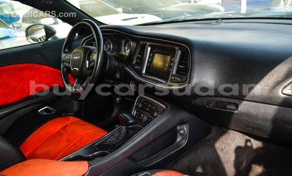 Buy Import Dodge Challenger Black Car in Import - Dubai in Al Jazirah State Buy Import Dodge Challenger Black Car in Import - Dubai in Al Jazirah State