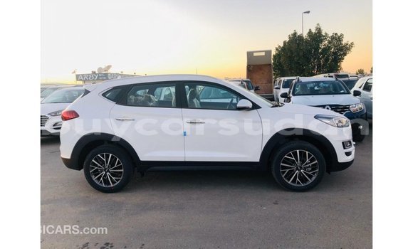 Buy Import Hyundai Tucson White Car in Import - Dubai in Al Jazirah State Buy Import Hyundai Tucson White Car in Import - Dubai in Al Jazirah State