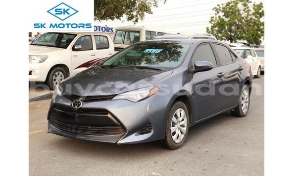 Buy Import Toyota Corolla Other Car in Import - Dubai in Al Jazirah State Buy Import Toyota Corolla Other Car in Import - Dubai in Al Jazirah State