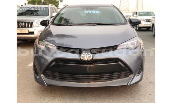 Buy Import Toyota Corolla Other Car in Import - Dubai in Al Jazirah State Buy Import Toyota Corolla Other Car in Import - Dubai in Al Jazirah State