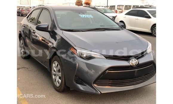 Buy Import Toyota Corolla Other Car in Import - Dubai in Al Jazirah State Buy Import Toyota Corolla Other Car in Import - Dubai in Al Jazirah State