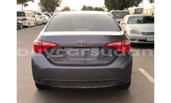 Buy Import Toyota Corolla Other Car in Import - Dubai in Al Jazirah State Buy Import Toyota Corolla Other Car in Import - Dubai in Al Jazirah State