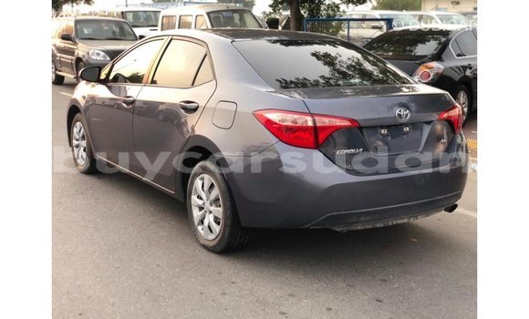 Buy Import Toyota Corolla Other Car in Import - Dubai in Al Jazirah State Buy Import Toyota Corolla Other Car in Import - Dubai in Al Jazirah State