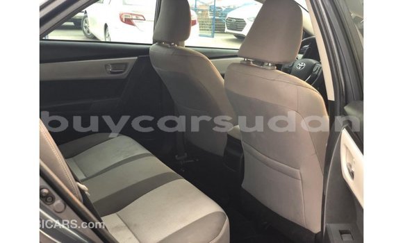 Buy Import Toyota Corolla Other Car in Import - Dubai in Al Jazirah State Buy Import Toyota Corolla Other Car in Import - Dubai in Al Jazirah State
