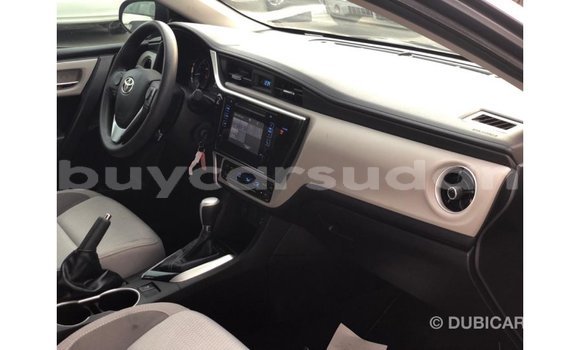 Buy Import Toyota Corolla Other Car in Import - Dubai in Al Jazirah State Buy Import Toyota Corolla Other Car in Import - Dubai in Al Jazirah State