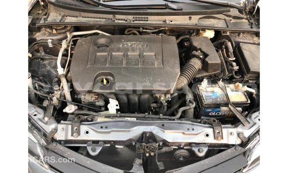 Buy Import Toyota Corolla Other Car in Import - Dubai in Al Jazirah State Buy Import Toyota Corolla Other Car in Import - Dubai in Al Jazirah State