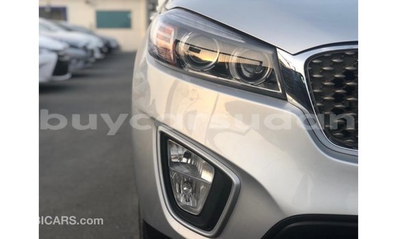 Buy Import Kia Sorento Other Car in Import - Dubai in Al Jazirah State Buy Import Kia Sorento Other Car in Import - Dubai in Al Jazirah State