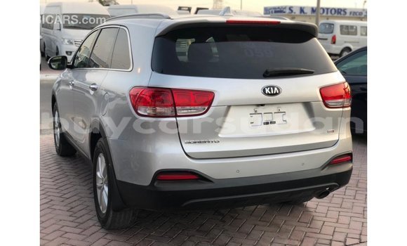 Buy Import Kia Sorento Other Car in Import - Dubai in Al Jazirah State Buy Import Kia Sorento Other Car in Import - Dubai in Al Jazirah State