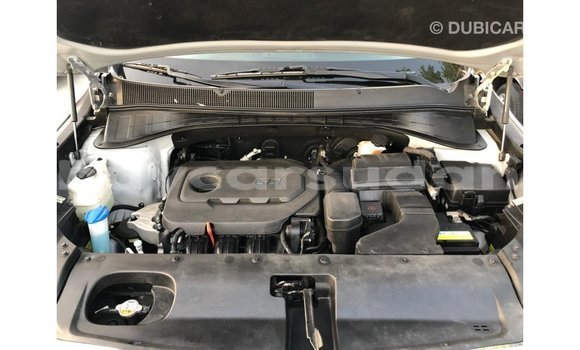 Buy Import Kia Sorento Other Car in Import - Dubai in Al Jazirah State Buy Import Kia Sorento Other Car in Import - Dubai in Al Jazirah State