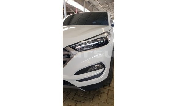 Buy Import Hyundai Tucson White Car in Import - Dubai in Al Jazirah State Buy Import Hyundai Tucson White Car in Import - Dubai in Al Jazirah State