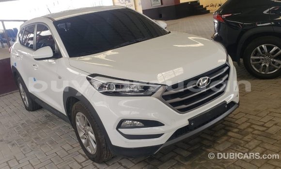 Buy Import Hyundai Tucson White Car in Import - Dubai in Al Jazirah State Buy Import Hyundai Tucson White Car in Import - Dubai in Al Jazirah State