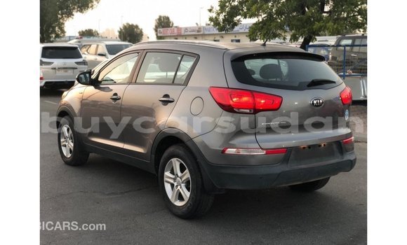 Buy Import Kia Sportage Other Car in Import - Dubai in Al Jazirah State Buy Import Kia Sportage Other Car in Import - Dubai in Al Jazirah State
