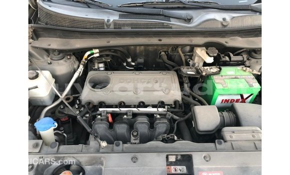 Buy Import Kia Sportage Other Car in Import - Dubai in Al Jazirah State Buy Import Kia Sportage Other Car in Import - Dubai in Al Jazirah State