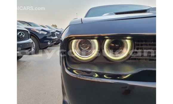 Buy Import Dodge Challenger Black Car in Import - Dubai in Al Jazirah State Buy Import Dodge Challenger Black Car in Import - Dubai in Al Jazirah State