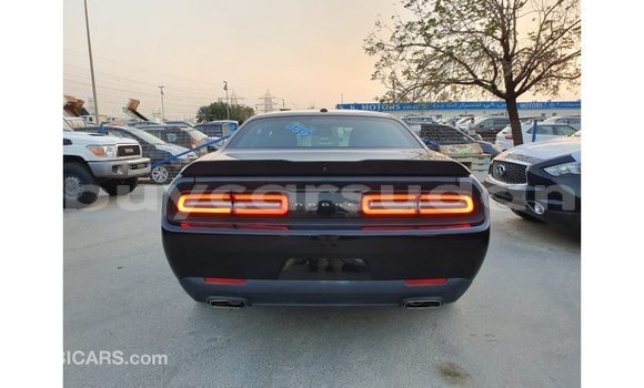 Buy Import Dodge Challenger Black Car in Import - Dubai in Al Jazirah State Buy Import Dodge Challenger Black Car in Import - Dubai in Al Jazirah State
