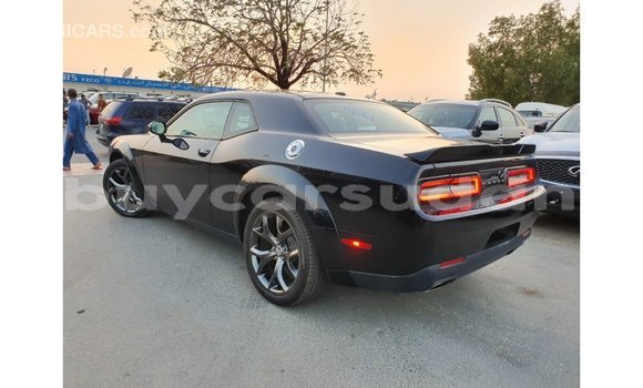 Buy Import Dodge Challenger Black Car in Import - Dubai in Al Jazirah State Buy Import Dodge Challenger Black Car in Import - Dubai in Al Jazirah State