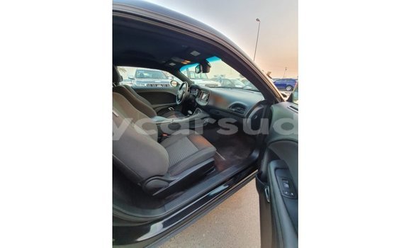 Buy Import Dodge Challenger Black Car in Import - Dubai in Al Jazirah State Buy Import Dodge Challenger Black Car in Import - Dubai in Al Jazirah State
