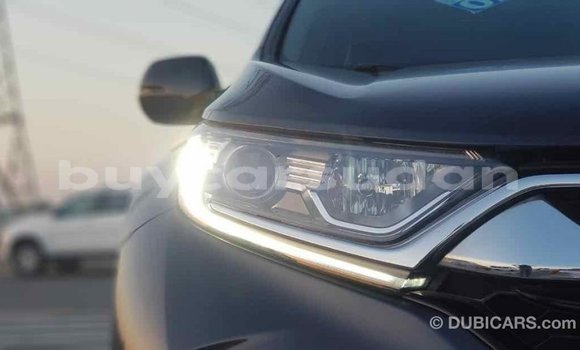 Buy Import Honda C Other Bike in Import - Dubai in Al Jazirah State Buy Import Honda C Other Bike in Import - Dubai in Al Jazirah State