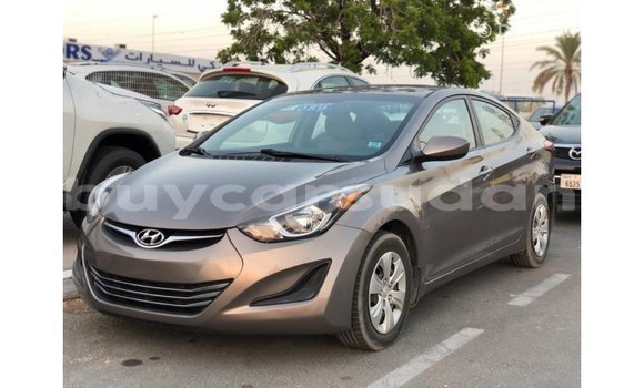 Buy Import Hyundai Elantra Brown Car in Import - Dubai in Al Jazirah State Buy Import Hyundai Elantra Brown Car in Import - Dubai in Al Jazirah State