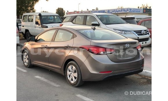 Buy Import Hyundai Elantra Brown Car in Import - Dubai in Al Jazirah State Buy Import Hyundai Elantra Brown Car in Import - Dubai in Al Jazirah State