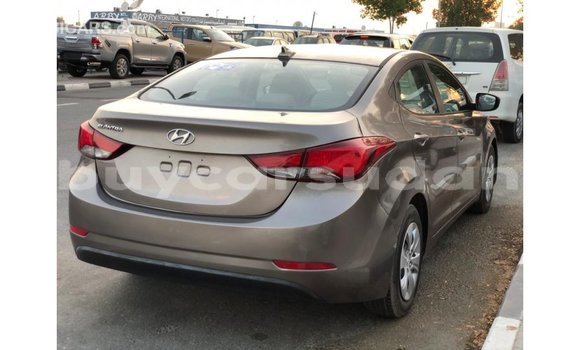 Buy Import Hyundai Elantra Brown Car in Import - Dubai in Al Jazirah State Buy Import Hyundai Elantra Brown Car in Import - Dubai in Al Jazirah State