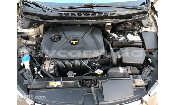 Buy Import Hyundai Elantra Brown Car in Import - Dubai in Al Jazirah State Buy Import Hyundai Elantra Brown Car in Import - Dubai in Al Jazirah State