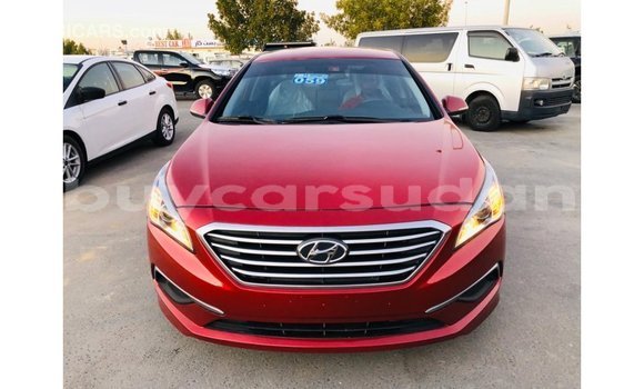 Buy Import Hyundai Sonata Red Car in Import - Dubai in Al Jazirah State Buy Import Hyundai Sonata Red Car in Import - Dubai in Al Jazirah State