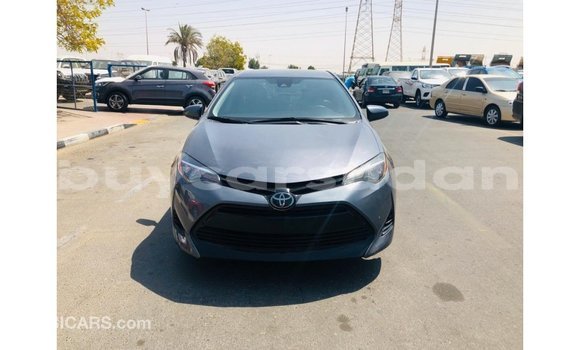Buy Import Toyota Corolla Other Car in Import - Dubai in Al Jazirah State Buy Import Toyota Corolla Other Car in Import - Dubai in Al Jazirah State
