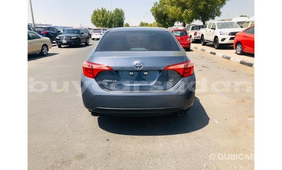 Buy Import Toyota Corolla Other Car in Import - Dubai in Al Jazirah State Buy Import Toyota Corolla Other Car in Import - Dubai in Al Jazirah State