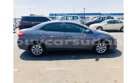 Buy Import Toyota Corolla Other Car in Import - Dubai in Al Jazirah State Buy Import Toyota Corolla Other Car in Import - Dubai in Al Jazirah State