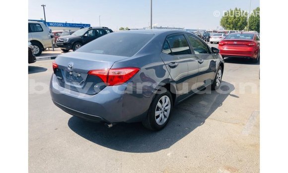 Buy Import Toyota Corolla Other Car in Import - Dubai in Al Jazirah State Buy Import Toyota Corolla Other Car in Import - Dubai in Al Jazirah State