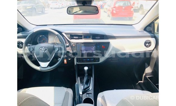 Buy Import Toyota Corolla Other Car in Import - Dubai in Al Jazirah State Buy Import Toyota Corolla Other Car in Import - Dubai in Al Jazirah State